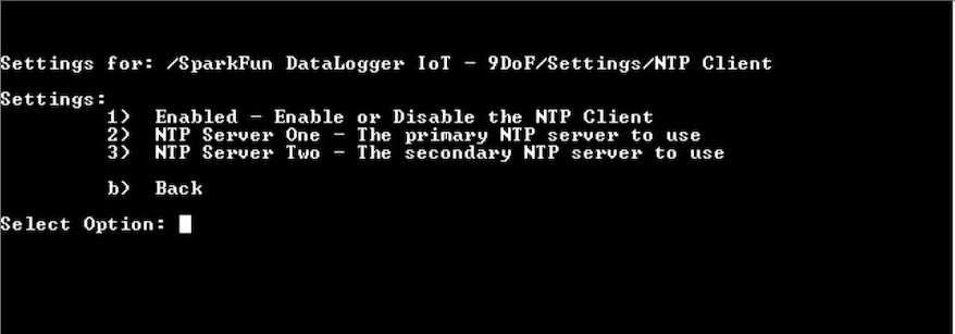 NTP Client Menu Options