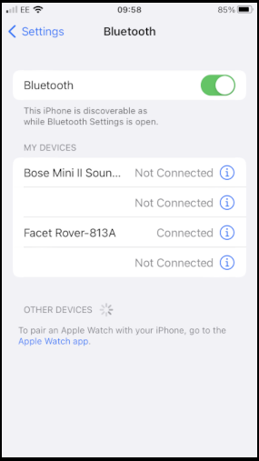 iOS Settings Bluetooth Paired